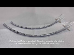 A show of Endotracheal Tube
