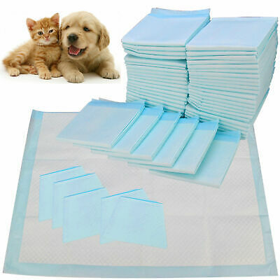 5ply Quick Absorb Dog Puppy Pads Training Pet Pee Pad 60x90cm แบบใช้แล้วทิ้ง